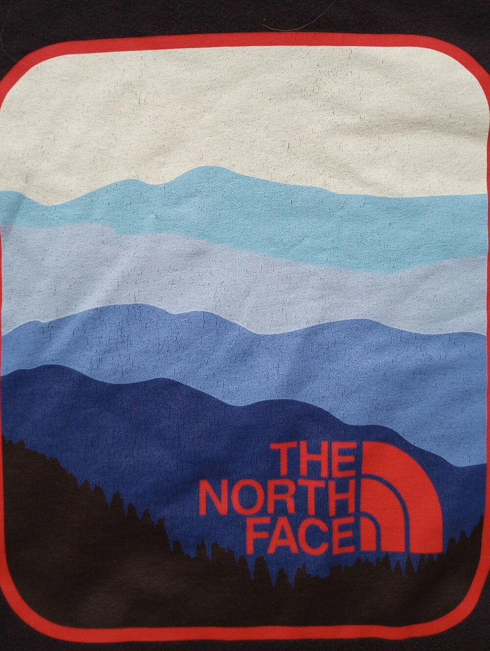 The North Face Hoodie Men's Large Blue & Red
